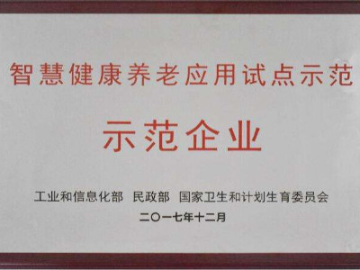 安徽智慧健康養(yǎng)老應用試點示范申報條件